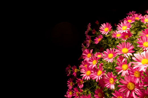 710126 (a): :2800x1860
